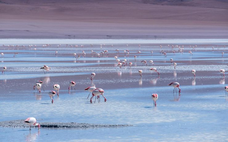 Τουζ: Η ροζ λίμνη που βρίσκεται στην καρδιά της Τουρκίας