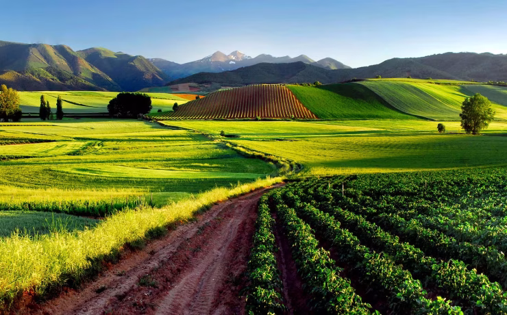 La Rioja: Μία οδύσσεια γεύσεων, ιστορίας και κρασιού Πηγή φωτογραφίας: https://www.spain.info/