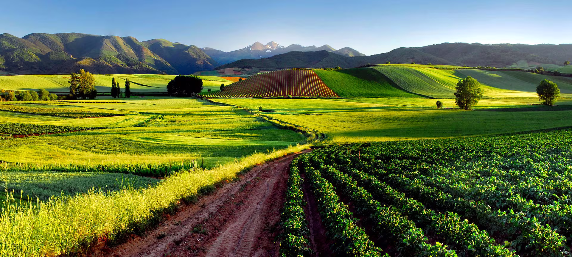 La Rioja: Μία οδύσσεια γεύσεων, ιστορίας και κρασιούΠηγή φωτογραφίας: https://www.spain.info/