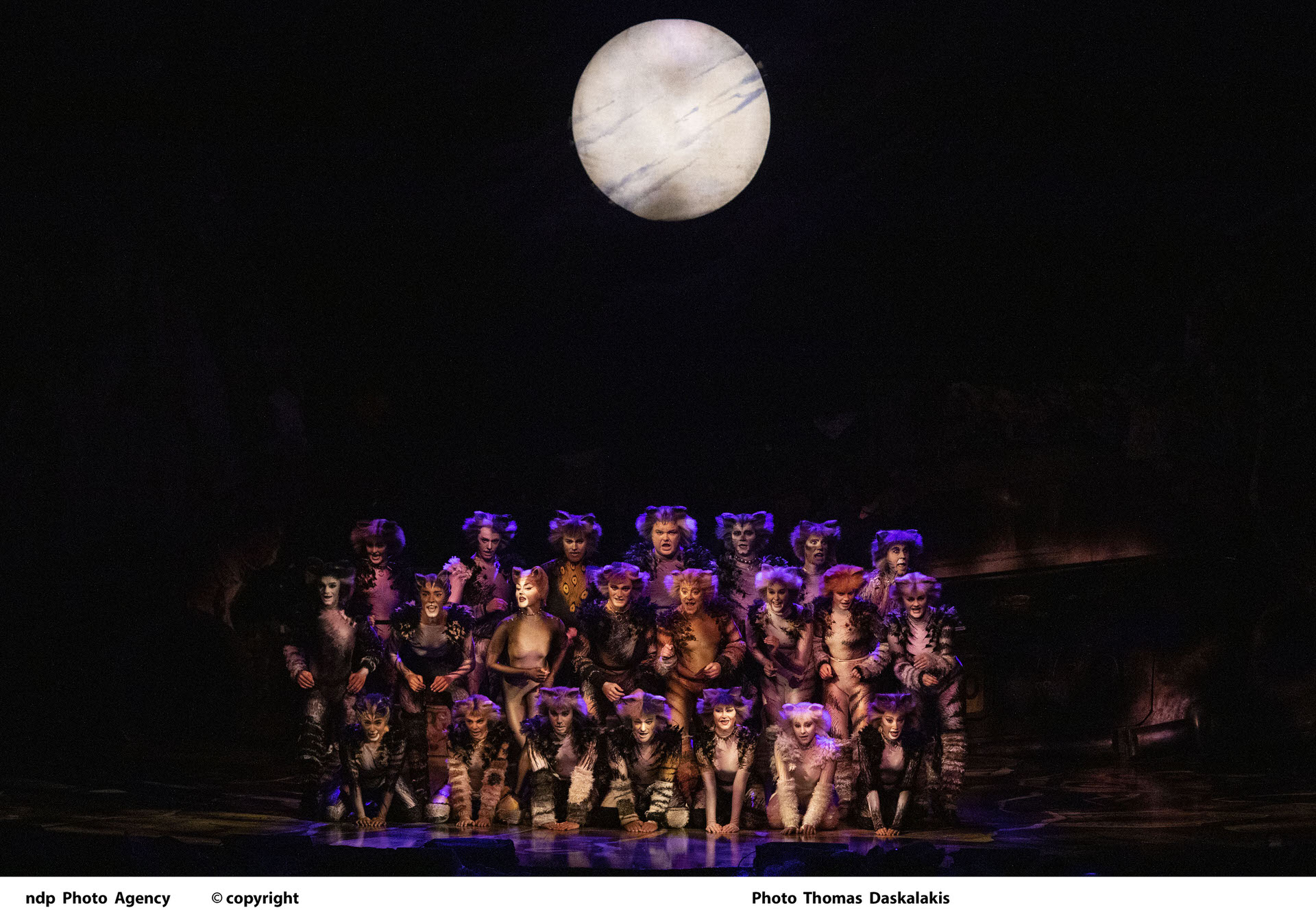 Το CATS επέστρεψε στην Αθήνα και μας ενθουσίασε!