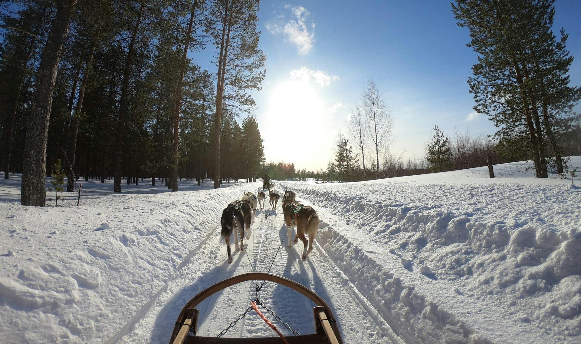 Μαγικά Χριστούγεννα στο εξωτερικό: 5 προορισμοί που ζωντανεύουν το παραμύθι