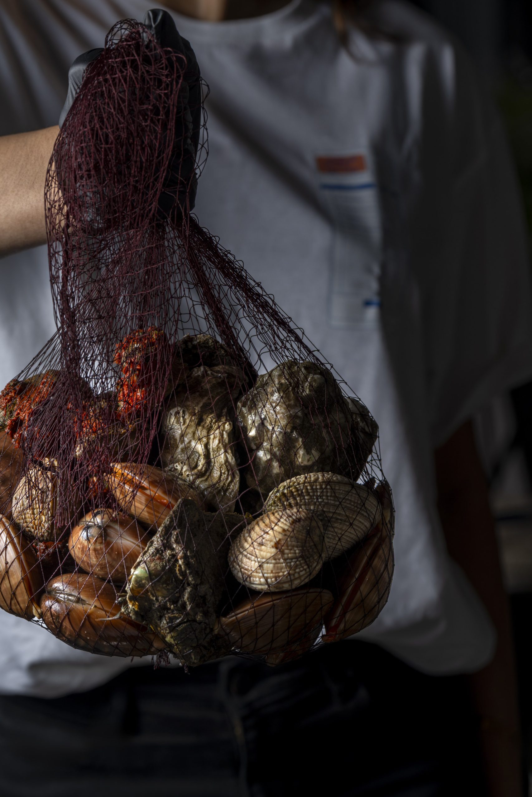  Sea You: Η θαλασσινή «απόβαση» στην καρδιά του Κολωνακίου