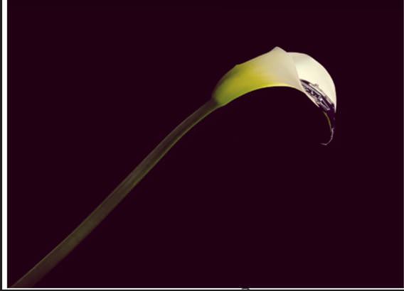 Αποτύπωμα 30: Η αναδρομική έκθεση του διακεκριμένου Έλληνα φωτογράφου Σπύρου Πώρου στο Παλαιό Ελαιουργείο Ελευσίνας