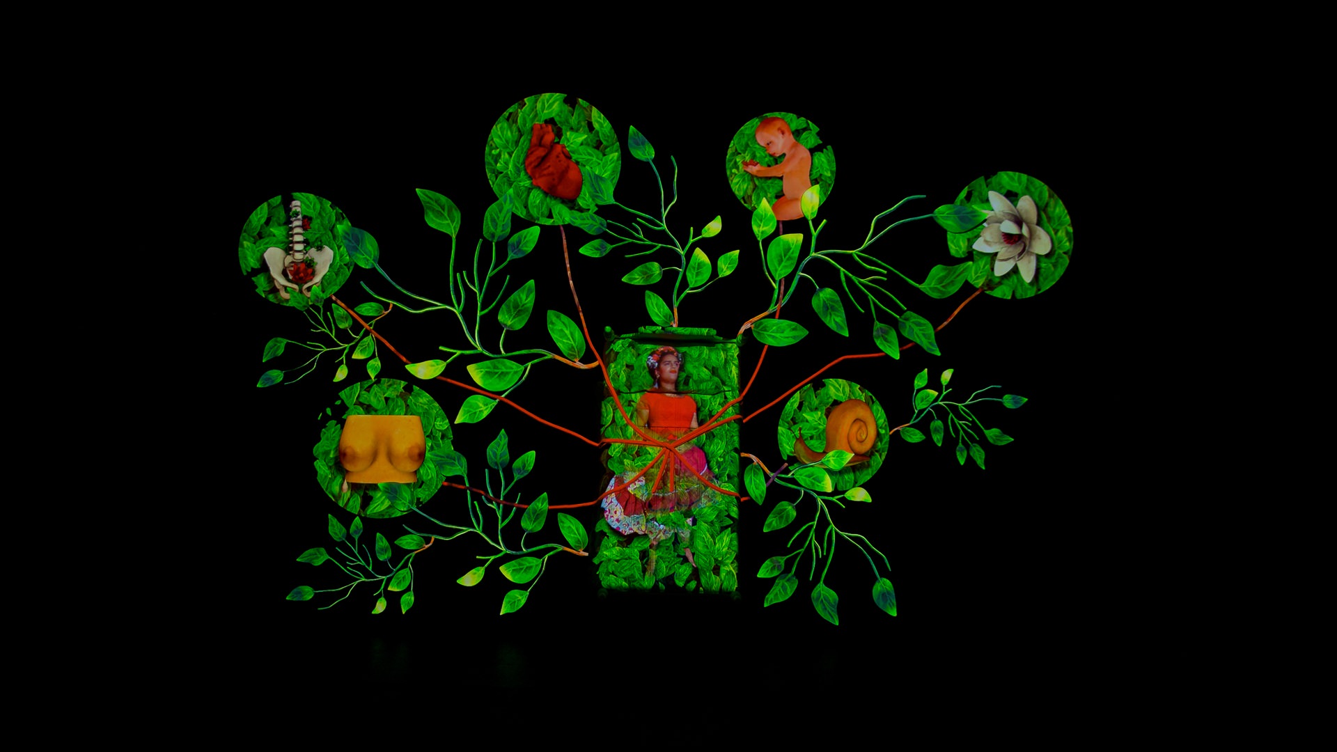 O κόσμος της Φρίντα Κάλο ζωντανεύει με τρόπο βιωματικό συγκινητικό στον Ελληνικό Κόσμο