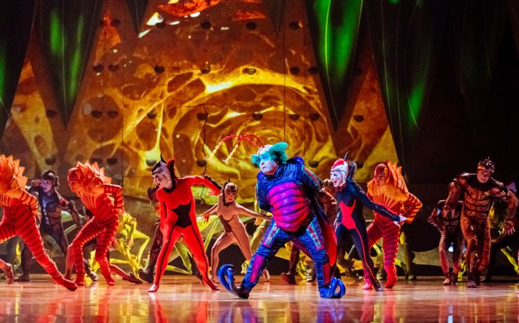 Στα παρασκήνια του «OVO»: Βρεθήκαμε στον μαγικό κόσμο του Cirque du Soleil στην Αγγλία