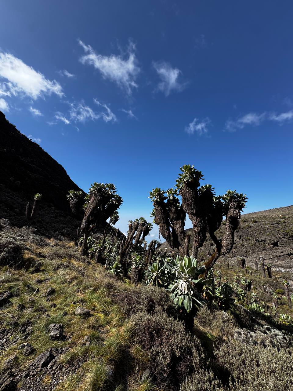 Ο Θανάσης Χτενάς ανέβηκε στο Κιλιμάντζαρο και μας μεταφέρει την εμπειρία του!