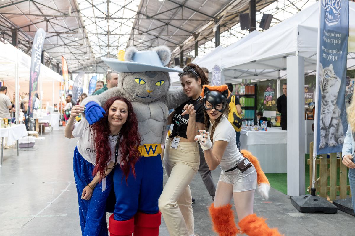 Cat Festival 2026: Δεκάδες γάτες βρήκαν το «παντοτινό τους σπίτι» σε ένα διήμερο γεμάτο αγάπη!