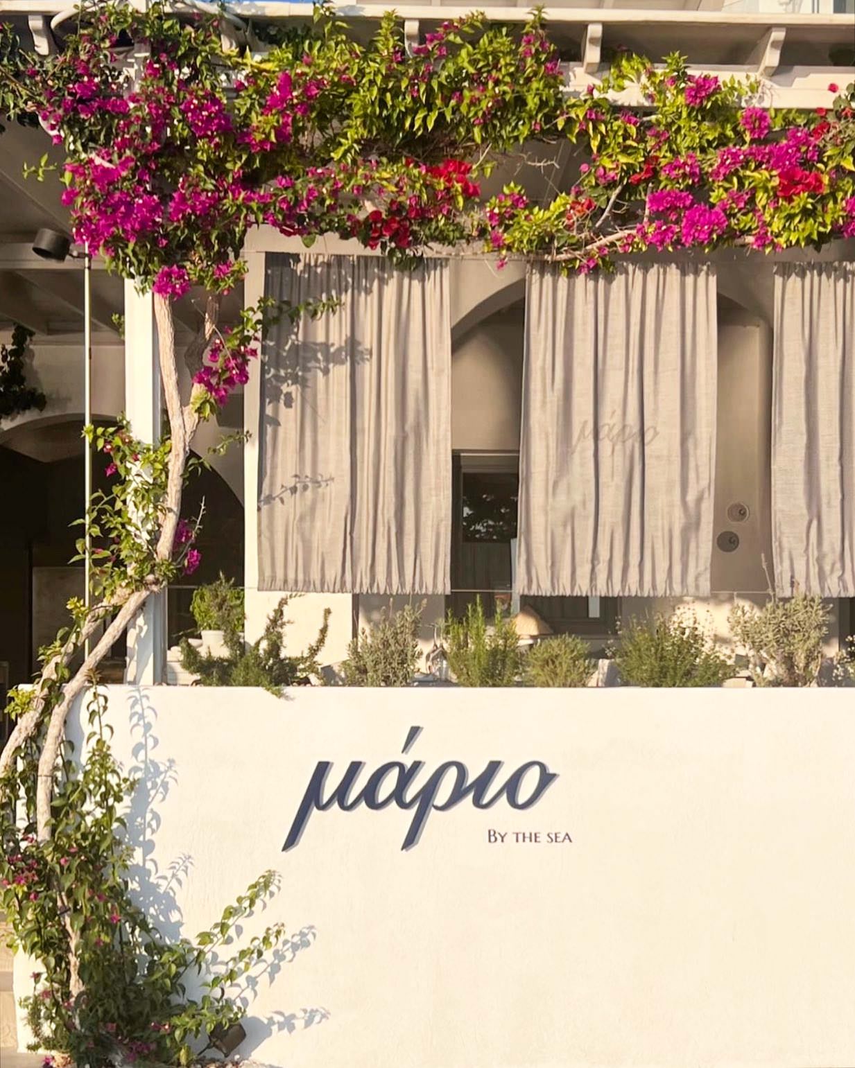 Mario Restaurant Paros: Το elegant γαστρονομικό spot στα Λιβάδια που απογειώνει τα καλοκαιρινά βράδια στην Πάρο