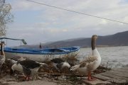 Εξερευνώντας πέντε από τις ομορφότερες λίμνες της Ελλάδας