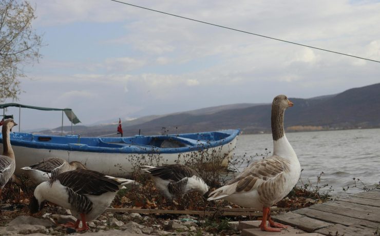 Εξερευνώντας πέντε από τις ομορφότερες λίμνες της Ελλάδας