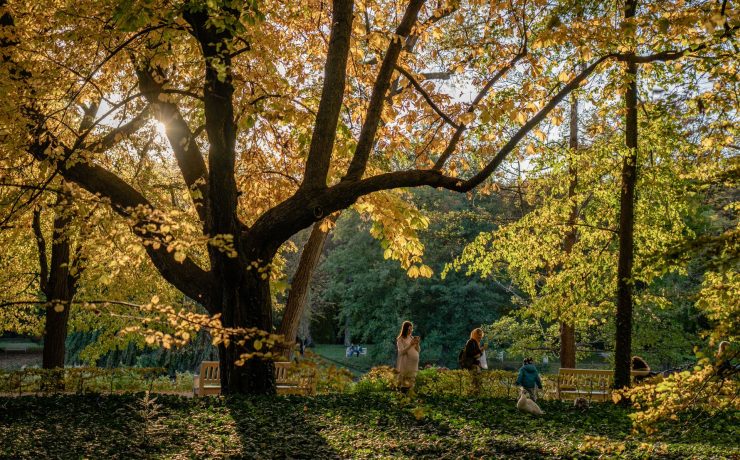 ​Tiergarten: Η πράσινη καρδιά που χτυπά στο κέντρο του Βερολίνου