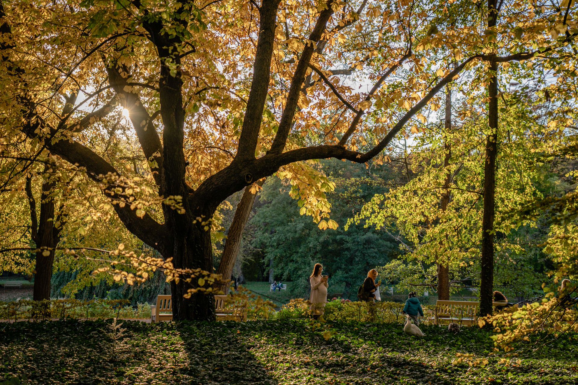 ​Tiergarten: Η πράσινη καρδιά που χτυπά στο κέντρο του Βερολίνου